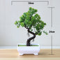 Artificial Bonsai Plants. The perfect fusion of charm, convenience, and enduring elegance.  Elevate any space with ease! Whether it's your home sanctuary, hotel lobby, or office oasis,